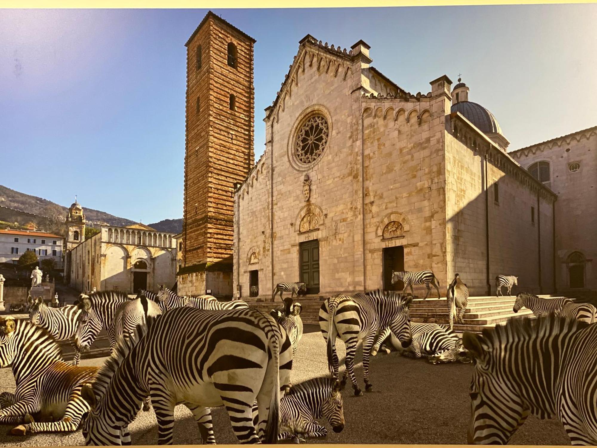 Bed and Breakfast Pietrasanta Ai Teatri Экстерьер фото